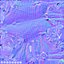 为 Cinema 4D 准备的年轻白狮