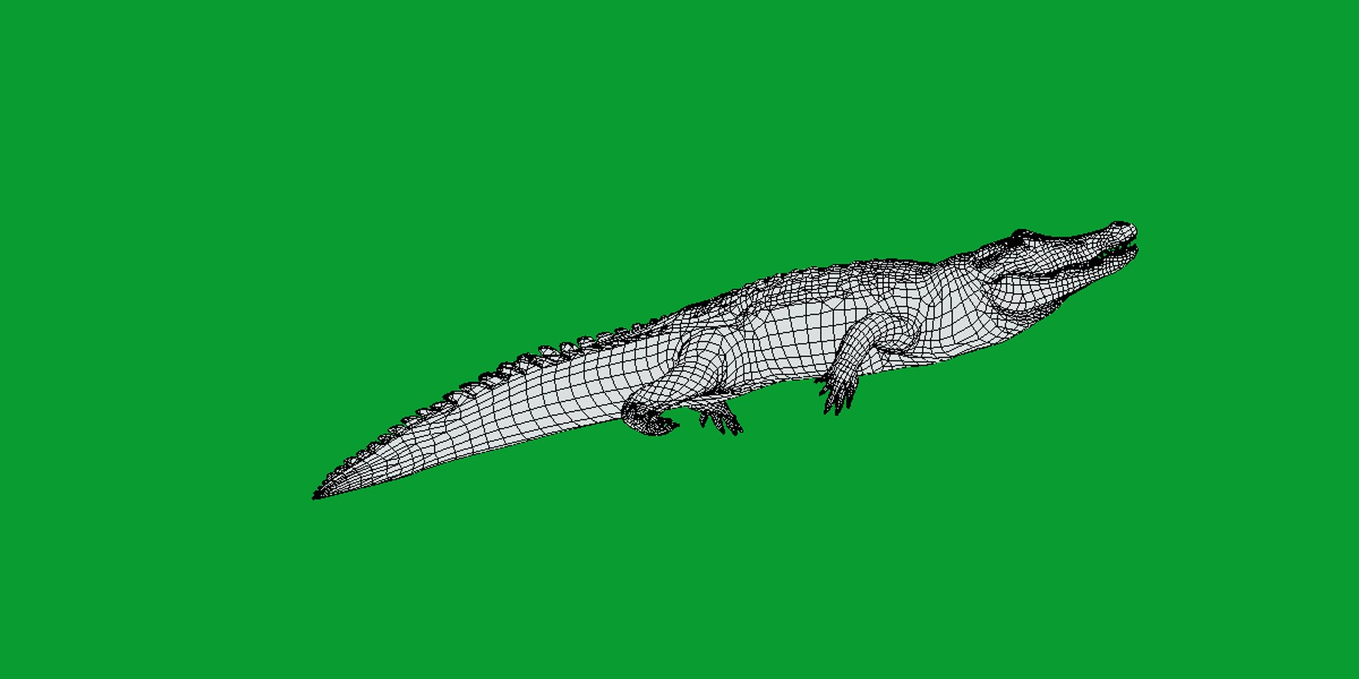 3D American Alligator https://p.turbosquid.com/ts-thumb/nX/1UhPJc/4G/american_alligator19/png/1734528705/1920x1080/fit_q87/bdfdc47697665109fa221502a530f3f79f724fa9/american_alligator19.jpg