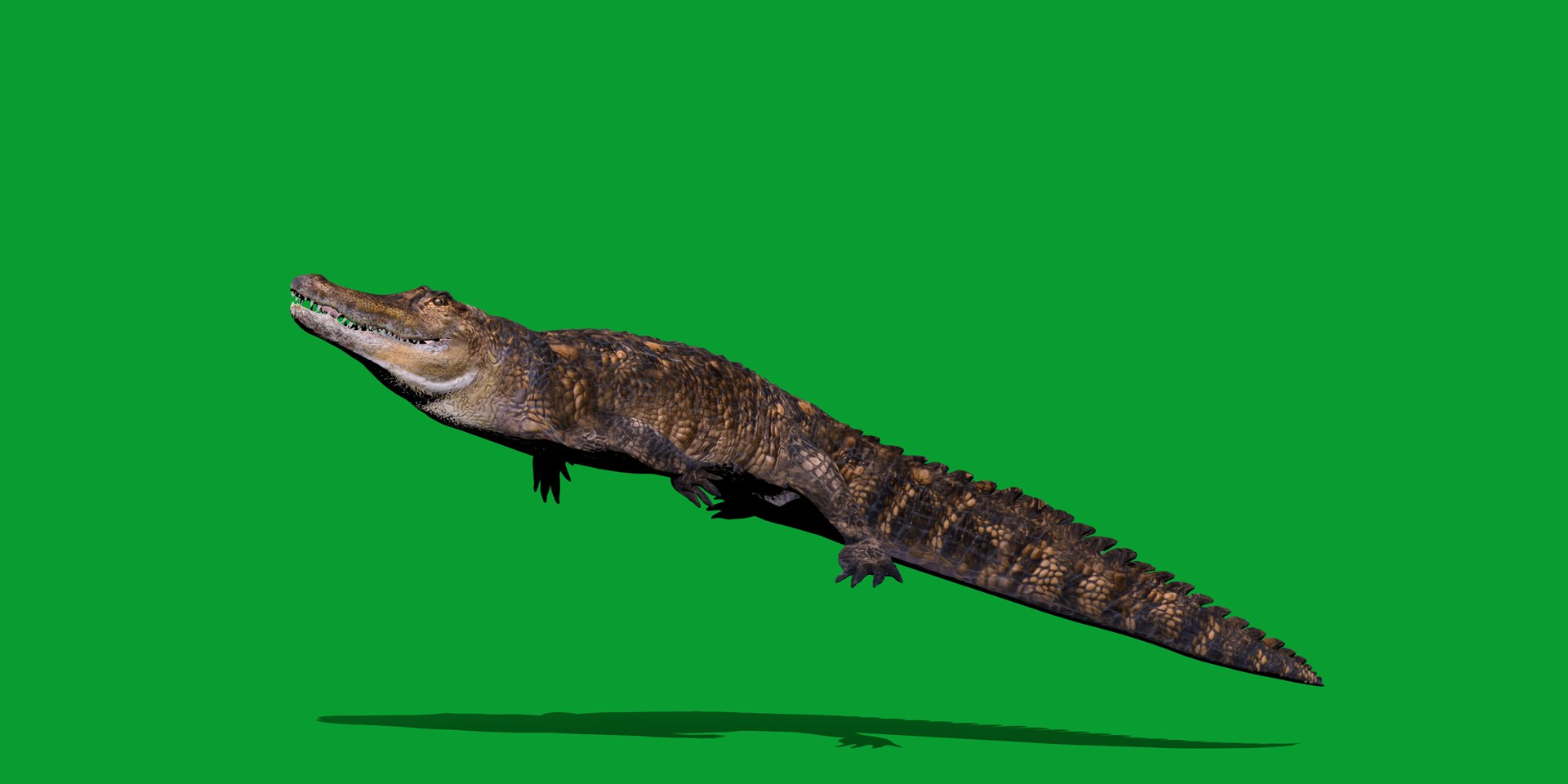 3D American Alligator https://p.turbosquid.com/ts-thumb/nX/1UhPJc/Jy/alligator/png/1734528695/1920x1080/fit_q87/4b85daebf449e2af21b11197d1e44c86f6b59843/alligator.jpg