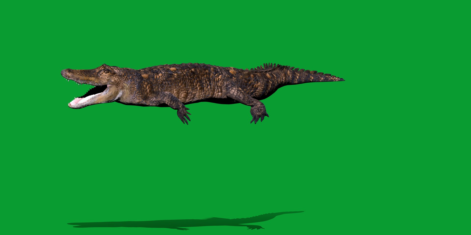 3D American Alligator https://p.turbosquid.com/ts-thumb/nX/1UhPJc/kT/alligator2/png/1734528694/1920x1080/fit_q87/c187089d454beb19943a1070f54bf0cf2e235144/alligator2.jpg