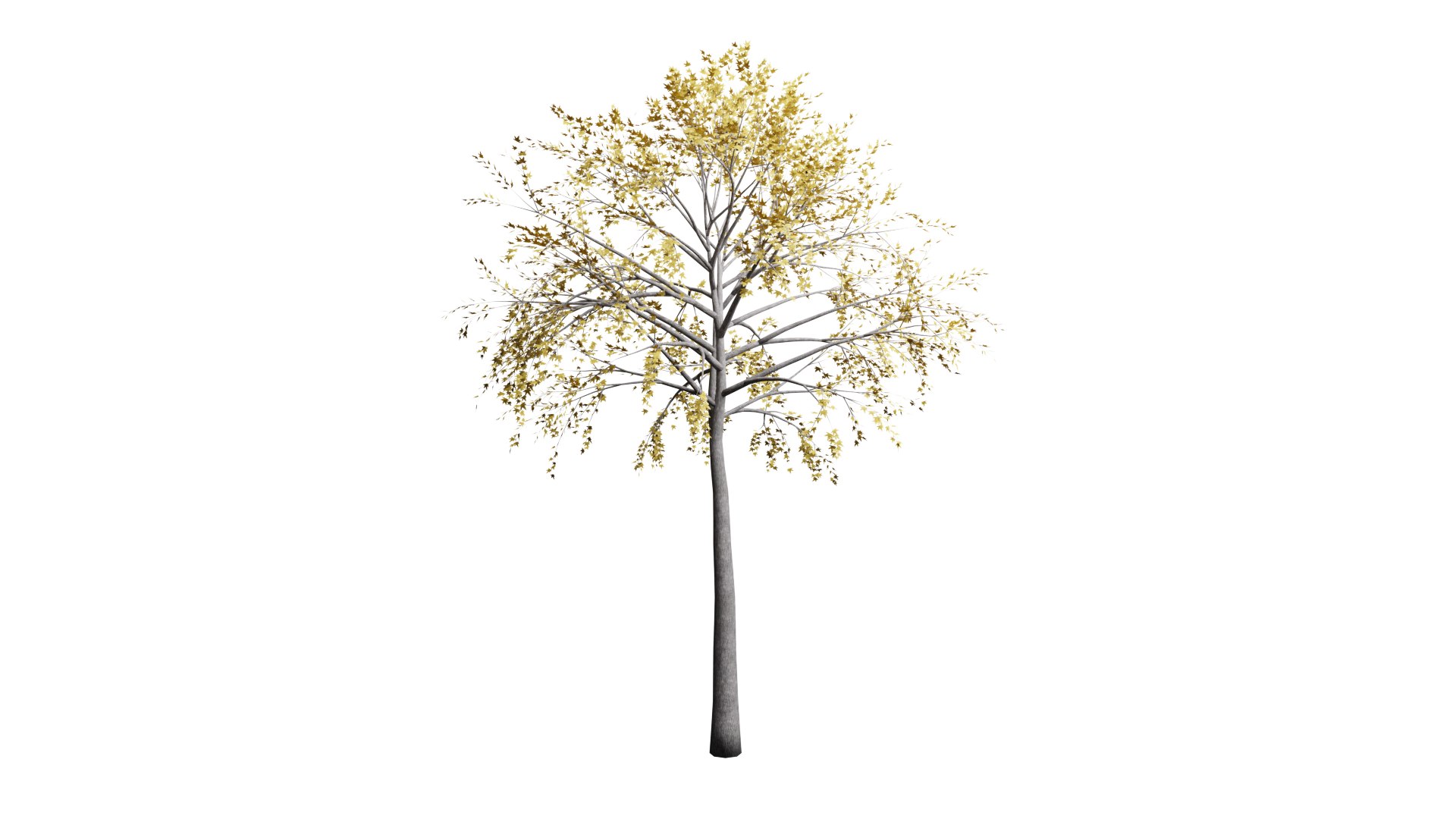 GenTree 103  Generic Tree 103 3D model https://p.turbosquid.com/ts-thumb/nX/DFamgv/yh/gentree103fbxversion/png/1682318294/1920x1080/fit_q87/93b7d9c40723ac4d047eb8a9068c5a1546dbe620/gentree103fbxversion.jpg