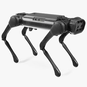 Dirty Aliengo Robot Dog model
