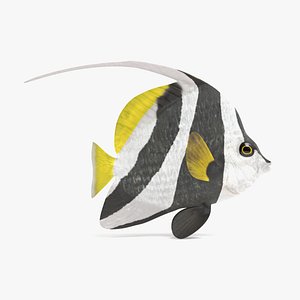 longfin bannerfish 3D model