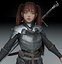 女性騎士 PBR 8k リグ付き 2026