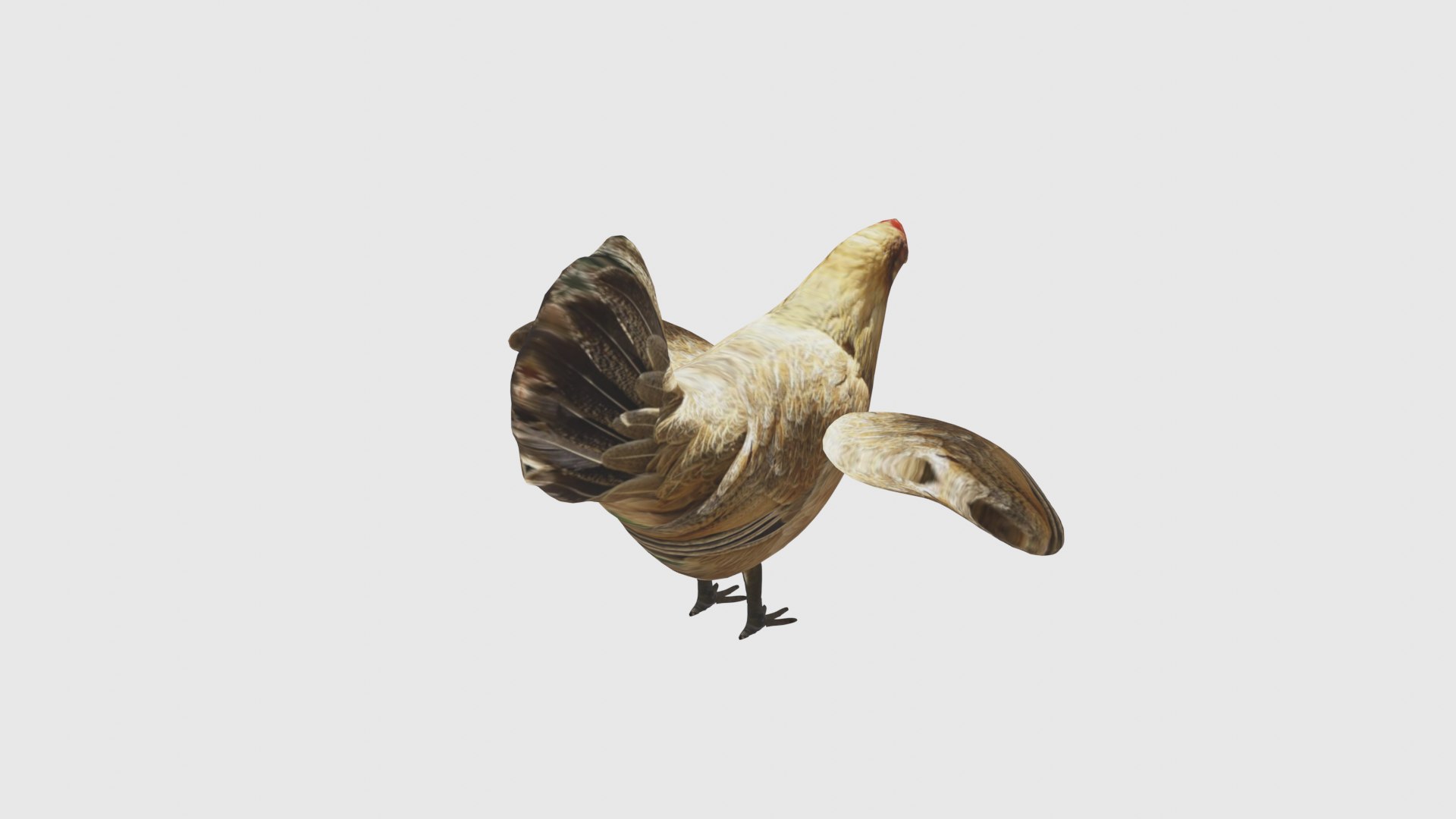 Low Poly Chicken Rigged With Realistic Texture 3D Model - TurboSquid ...