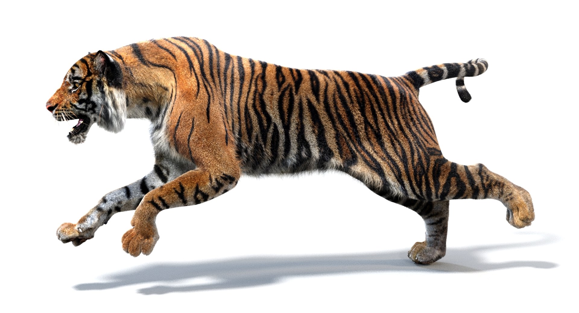 3D sumatran tiger fur colors https://p.turbosquid.com/ts-thumb/nX/TEJpEj/24pACVFd/sumatrantiger3dmodelfurarnold05/jpg/1536820064/1920x1080/fit_q87/7a236fafb45786d9625bf8aa9a89d5feb098f680/sumatrantiger3dmodelfurarnold05.jpg