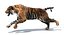 Sumatran Tiger Animated Fur