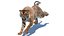 Sumatran Tiger Animated Fur