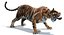 Sumatran Tiger Animated Fur