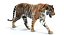 Sumatran Tiger Animated Fur