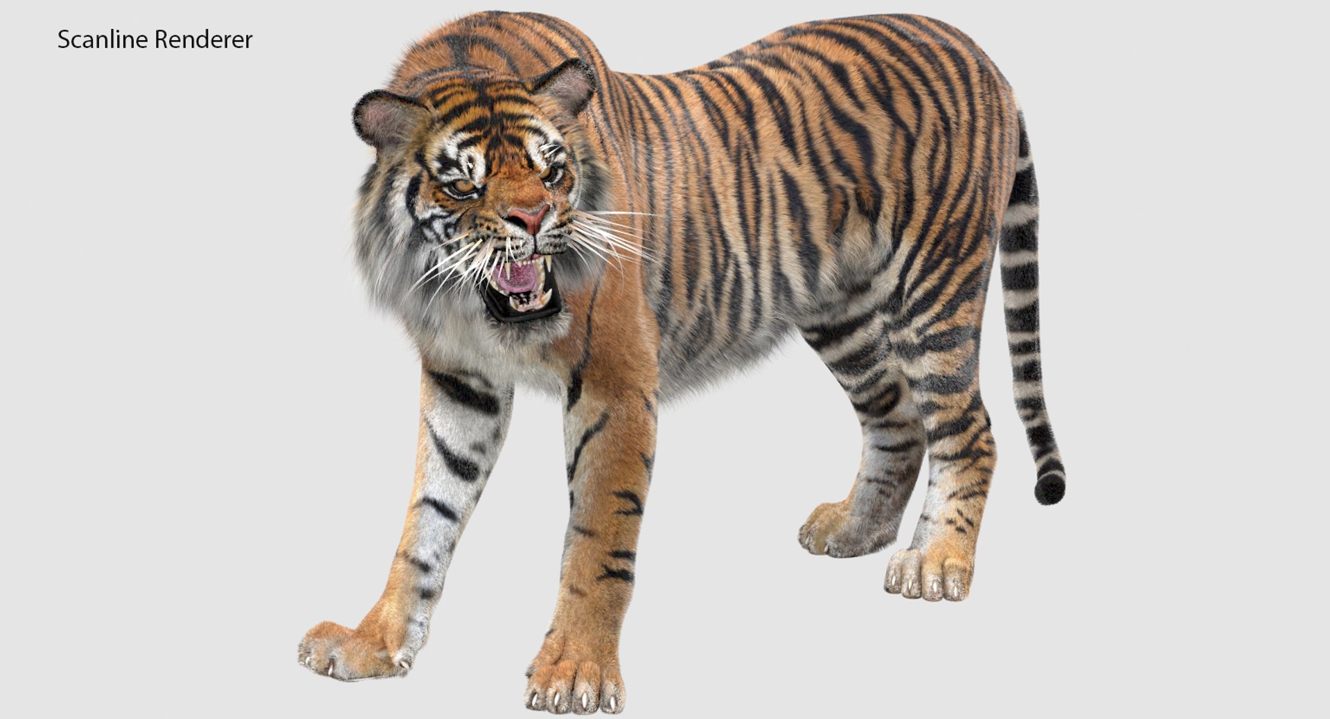 3D sumatran tiger fur colors https://p.turbosquid.com/ts-thumb/nX/TEJpEj/TeM0o46Q/sumatrantiger3dmodelfur03scanline/jpg/1536820064/1920x1080/fit_q87/053592588970bb6787439572157973a1e67407cb/sumatrantiger3dmodelfur03scanline.jpg