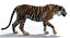 Sumatran Tiger Animated Fur