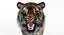 Sumatran Tiger Animated Fur