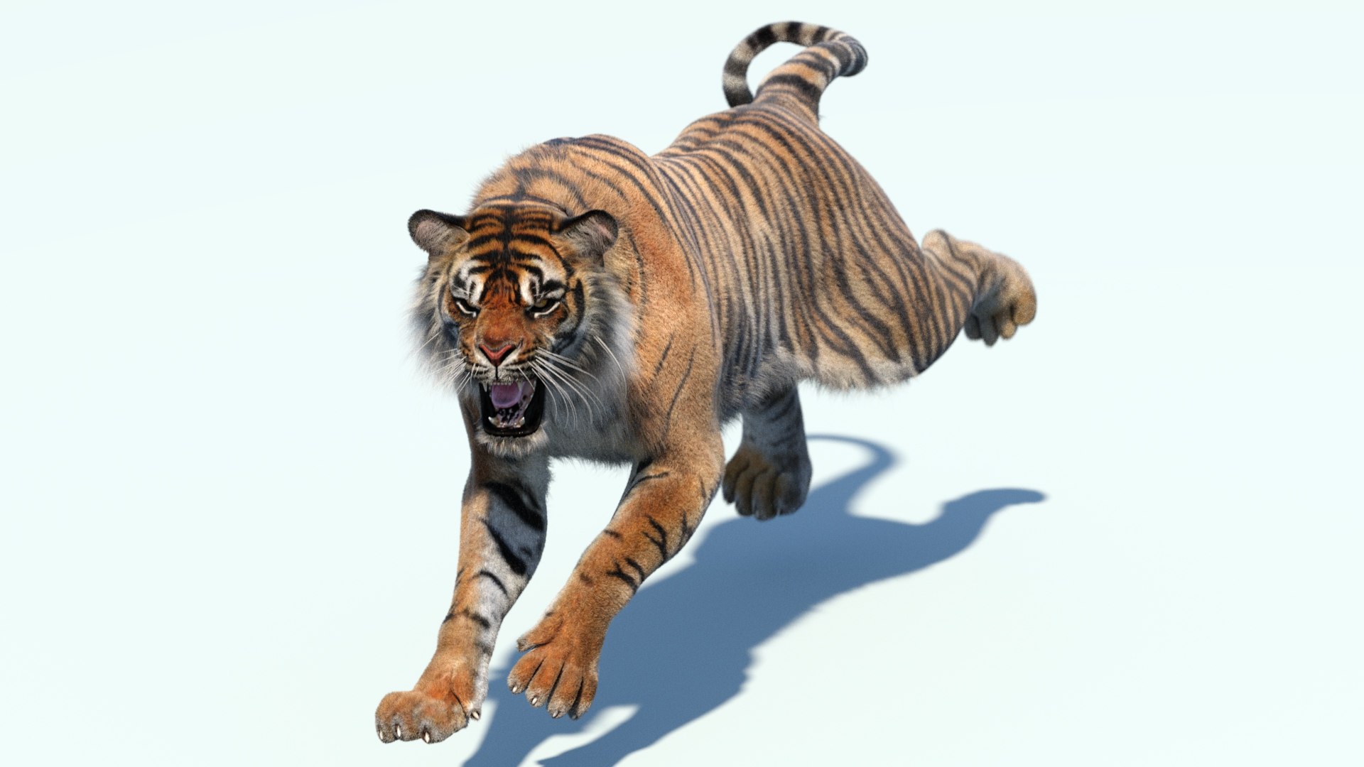 3D sumatran tiger fur colors https://p.turbosquid.com/ts-thumb/nX/TEJpEj/tv/sumatrantiger3dmodelfur02_/jpg/1709838829/1920x1080/fit_q87/d44c8b77bdf2c49fc3398a02cdf1d03e9c4a1f76/sumatrantiger3dmodelfur02_.jpg