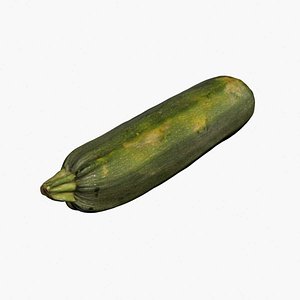 Zucchini 3D Scan High Quality 3D