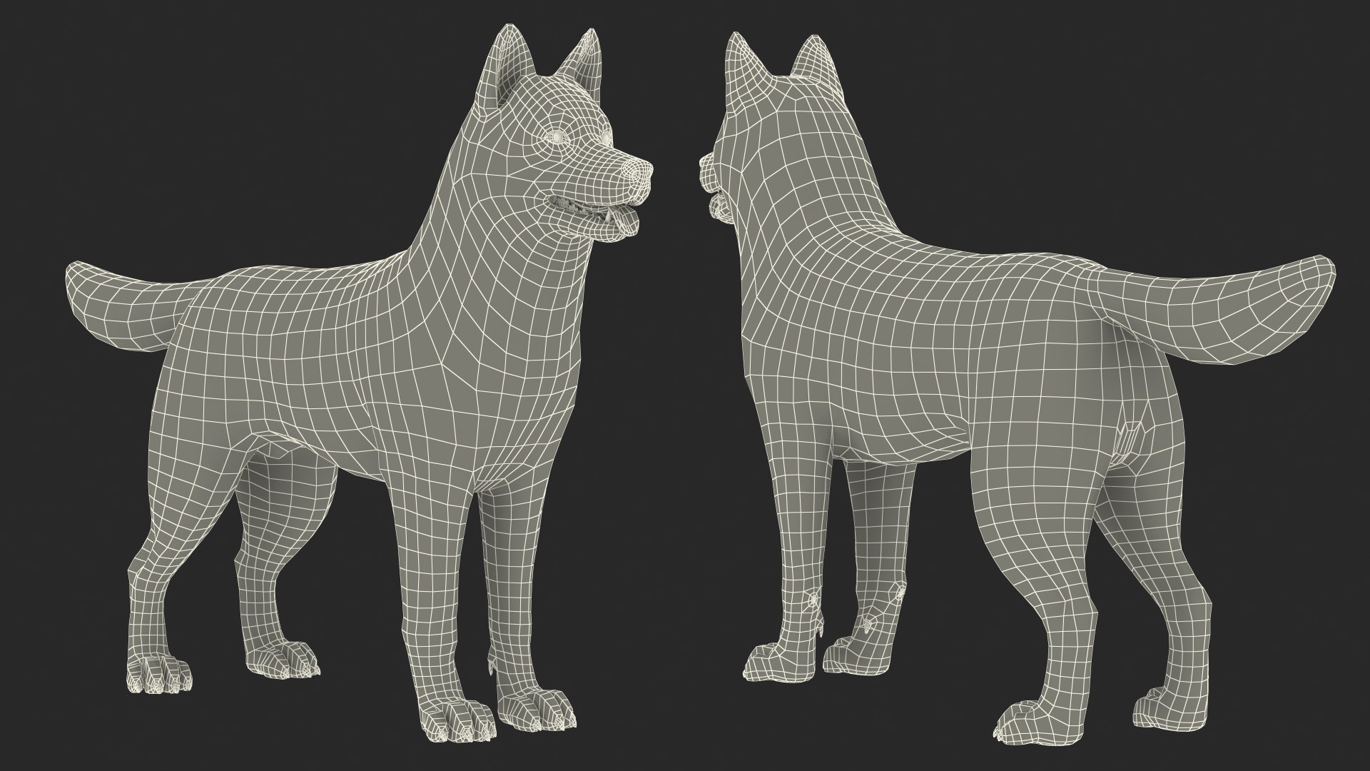 3D Husky Dog Gray and White Fur model https://p.turbosquid.com/ts-thumb/nX/cShVUl/8h/huskydoggrayandwhitefur3dmodel024/jpg/1633945775/1920x1080/fit_q87/1cde92e2faf4628cea2e5e5e64418813a340d169/huskydoggrayandwhitefur3dmodel024.jpg