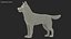 Husky Dog Gray and White Fur