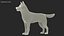 Husky Dog Gray and White Fur
