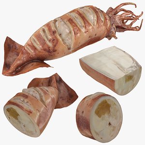 Grilled Squid Collection 3D model