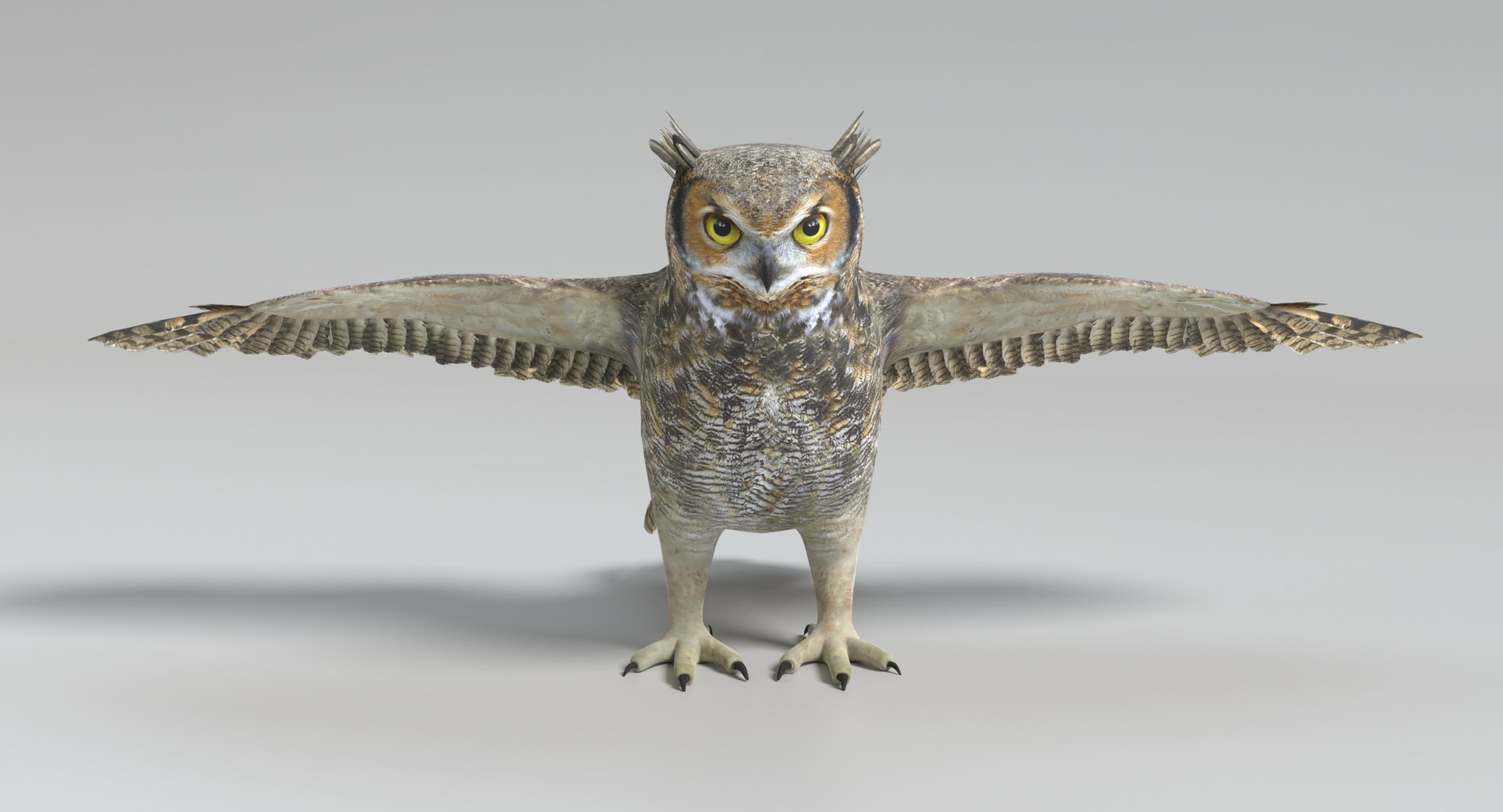3D great horned owl animations model https://p.turbosquid.com/ts-thumb/nX/kdLbb1/GKBpZ8Lp/images0001/png/1522707906/1920x1080/fit_q87/6ec28f1da3ea199fb596d6f5c66639acbaca9db0/images0001.jpg