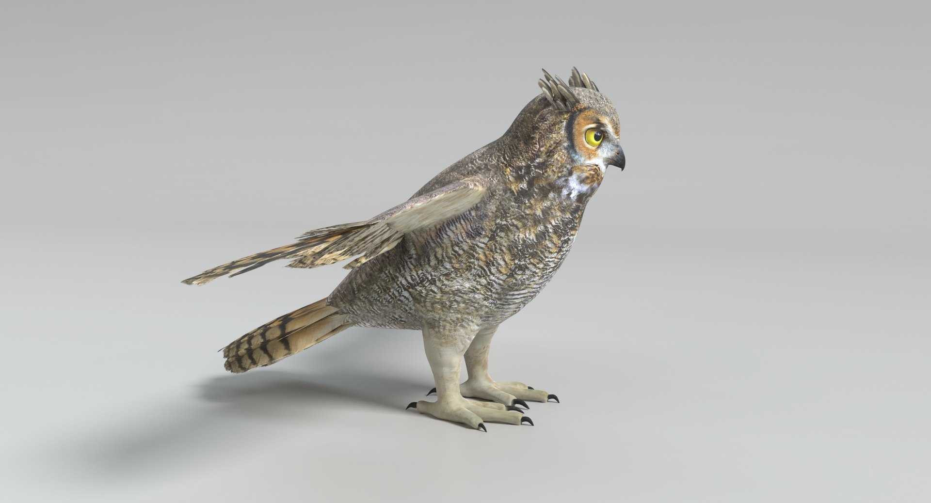 3D great horned owl animations model https://p.turbosquid.com/ts-thumb/nX/kdLbb1/JYG2dLJo/images0008/png/1522707906/1920x1080/fit_q87/42990bf556f620c3a5ad128ba3a328b6bb6abda8/images0008.jpg