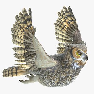 Great Horned Owl Animated
