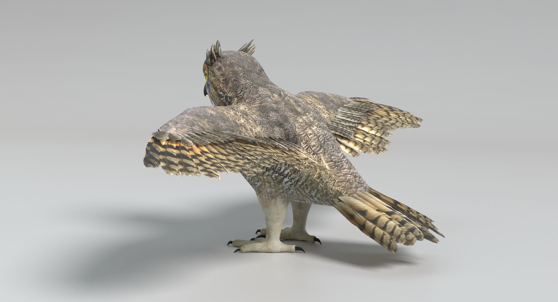 3D great horned owl animations model https://p.turbosquid.com/ts-thumb/nX/kdLbb1/SVAgqFZP/images0025/png/1522707906/1920x1080/fit_q87/7b4450e509a643905d3d01fc658fe3844bea1e08/images0025.jpg