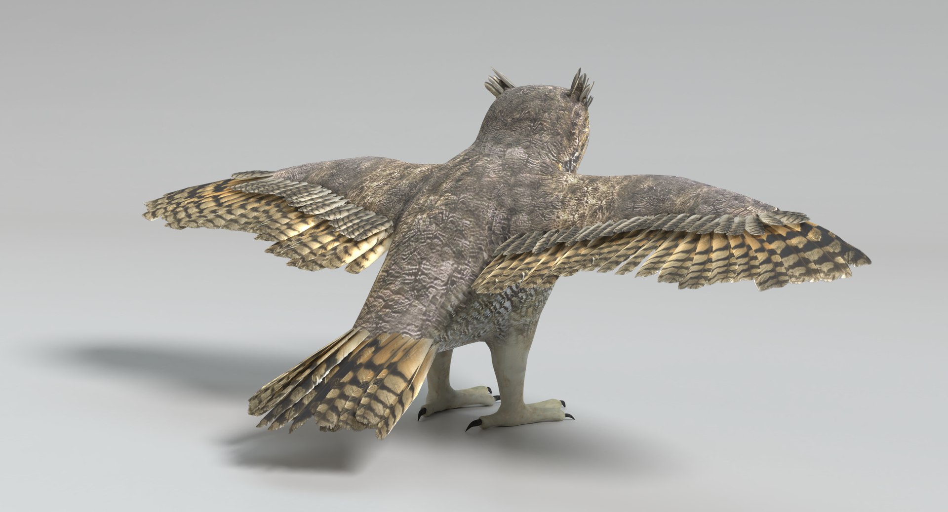 3D great horned owl animations model https://p.turbosquid.com/ts-thumb/nX/kdLbb1/fPwYG91n/images0015/png/1522707906/1920x1080/fit_q87/b6a6d5971f917f92d176e0ae677513cc18baa46d/images0015.jpg