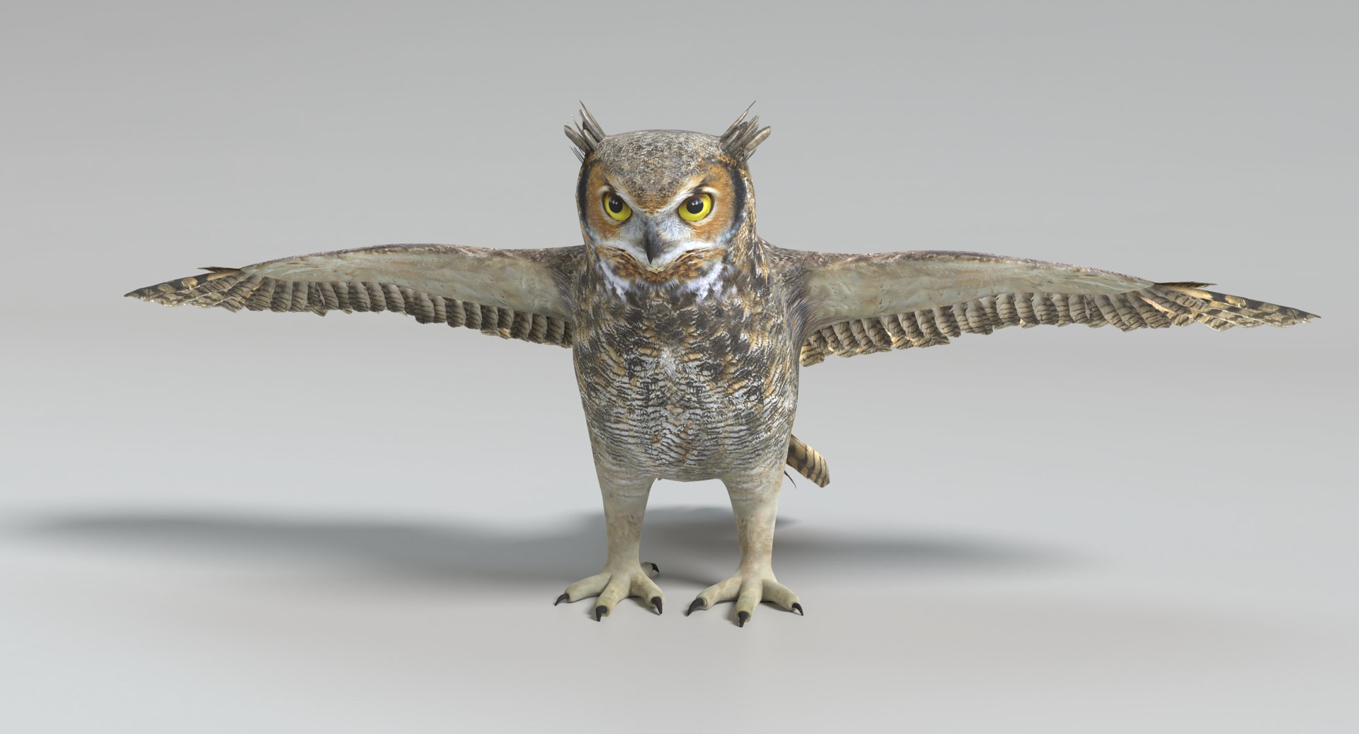 3D great horned owl animations model https://p.turbosquid.com/ts-thumb/nX/kdLbb1/gRAW73Wy/images0036/png/1522707906/1920x1080/fit_q87/6badb032cb59fd721a6ebf604da9c7e255e660fe/images0036.jpg