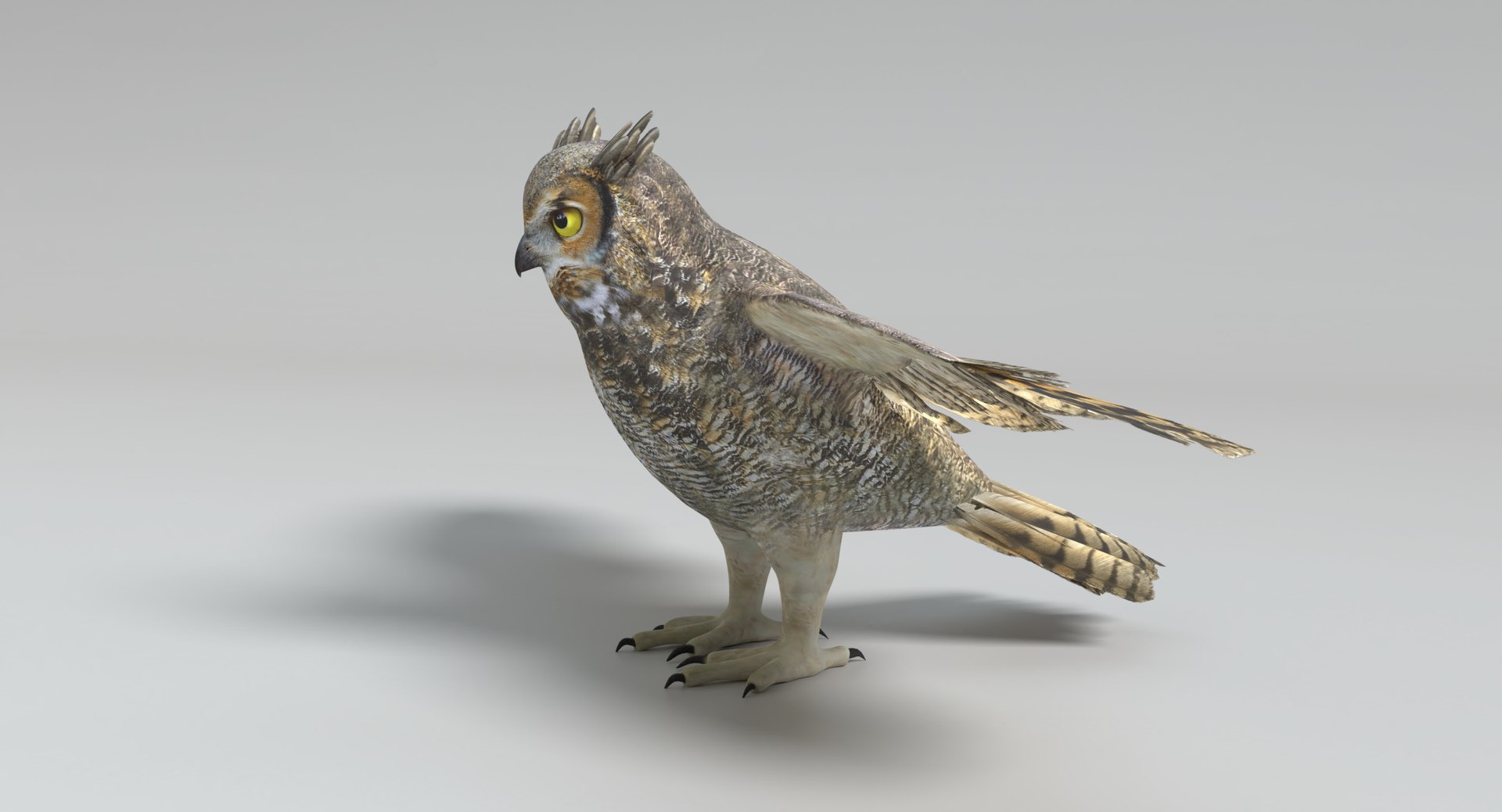 3D great horned owl animations model https://p.turbosquid.com/ts-thumb/nX/kdLbb1/o4kt1Nb2/images0030/png/1522707906/1920x1080/fit_q87/f0b715111fa73d7ce6d0af326a47ee24dfef7cd8/images0030.jpg