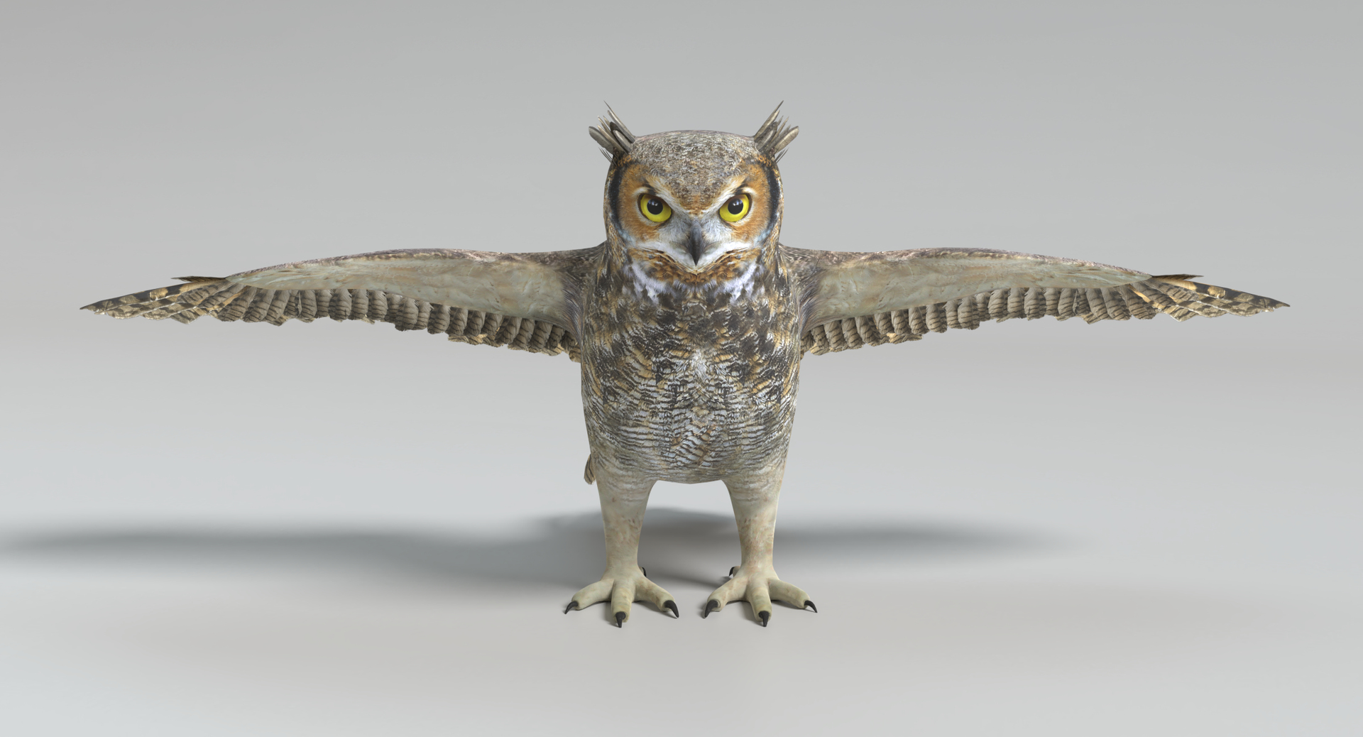 3D great horned owl animations model https://p.turbosquid.com/ts-thumb/nX/kdLbb1/ysxz62fm/images/png/1522708109/1920x1080/turn_fit_q99/6366b4738fc106773cfc111601f7c355b6384a27/images-1.jpg