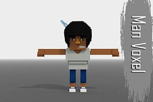 3D voxel man model
