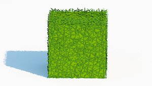 3D Taxus Media-Square model
