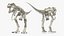 Tyrannosaurus Rex with Skeleton Collection