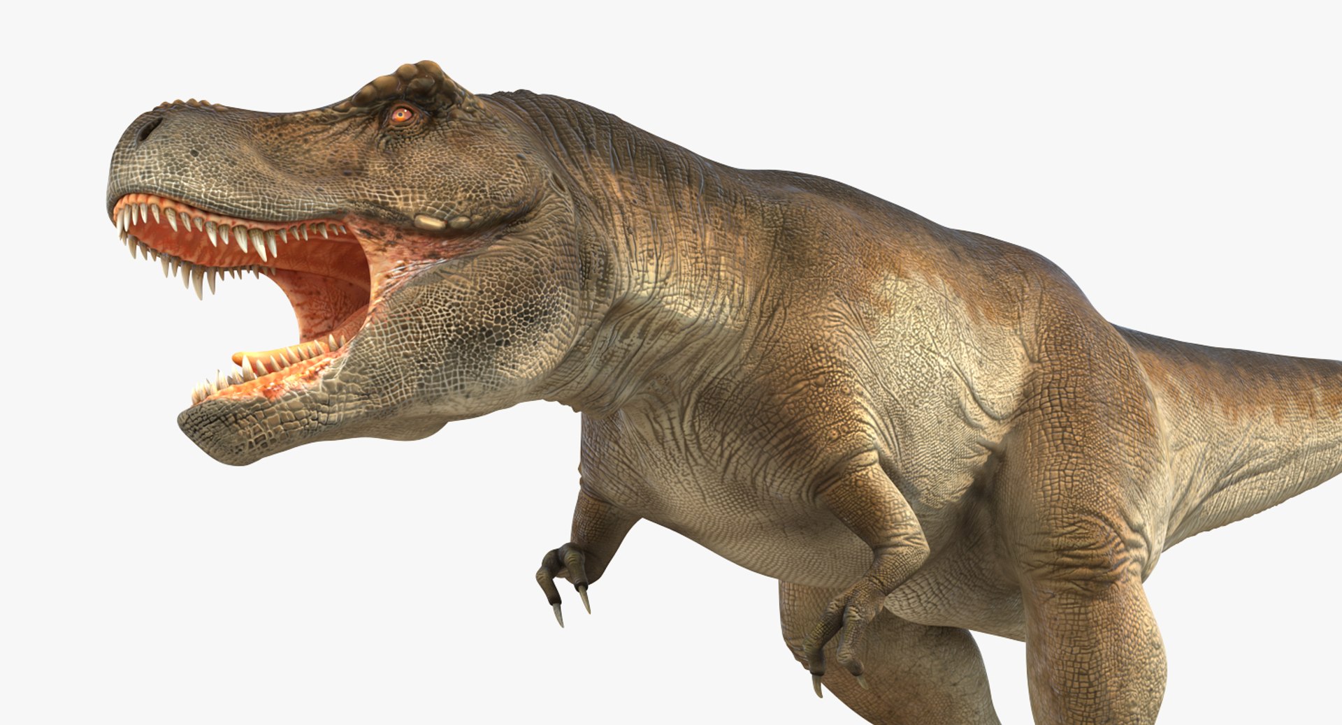 tyrannosaurus rex skeleton 3D model https://p.turbosquid.com/ts-thumb/nX/wvYyRP/5fHyun9F/tyrannosaurusrexwithskeletoncollectionmb3dmodel016/jpg/1575646076/1920x1080/fit_q87/112b52ade90dc96968aebdece8e8eea6af08a519/tyrannosaurusrexwithskeletoncollectionmb3dmodel016.jpg