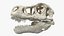 Tyrannosaurus Rex with Skeleton Collection