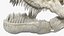 Tyrannosaurus Rex with Skeleton Collection