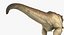 Tyrannosaurus Rex with Skeleton Collection