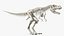 Tyrannosaurus Rex with Skeleton Collection