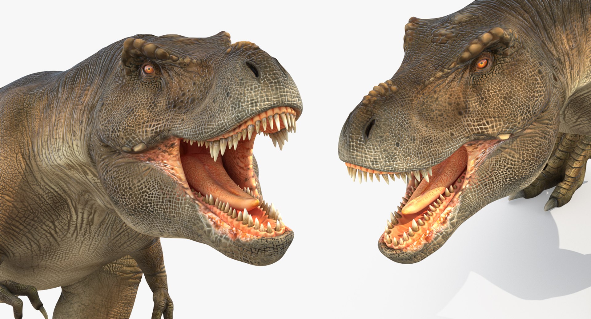 tyrannosaurus rex skeleton 3D model https://p.turbosquid.com/ts-thumb/nX/wvYyRP/gQ4x3VDX/tyrannosaurusrexwithskeletoncollectionmb3dmodel017/jpg/1575646077/1920x1080/fit_q87/39d72f6ae50a611f008f64f78b659dc1ccd6b7e7/tyrannosaurusrexwithskeletoncollectionmb3dmodel017.jpg