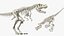 Tyrannosaurus Rex with Skeleton Collection