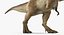 Tyrannosaurus Rex with Skeleton Collection
