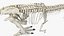 Tyrannosaurus Rex with Skeleton Collection