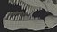 Tyrannosaurus Rex with Skeleton Collection