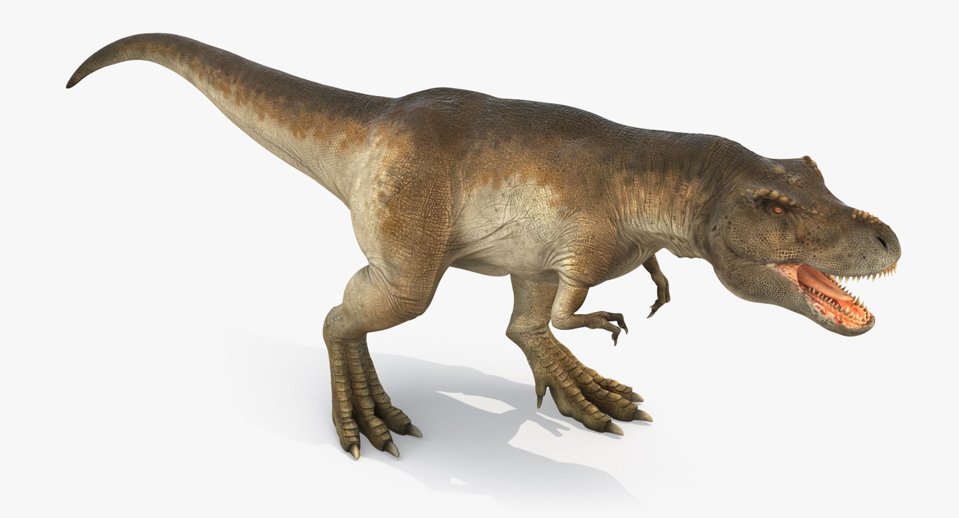 tyrannosaurus rex skeleton 3D model https://p.turbosquid.com/ts-thumb/nX/wvYyRP/qvCtUAsF/tyrannosaurusrexwithskeletoncollectionmb3dmodel014/jpg/1575646075/1920x1080/fit_q87/501ef30ef356d0e0ff0ba7763908d74368d9cdc0/tyrannosaurusrexwithskeletoncollectionmb3dmodel014.jpg