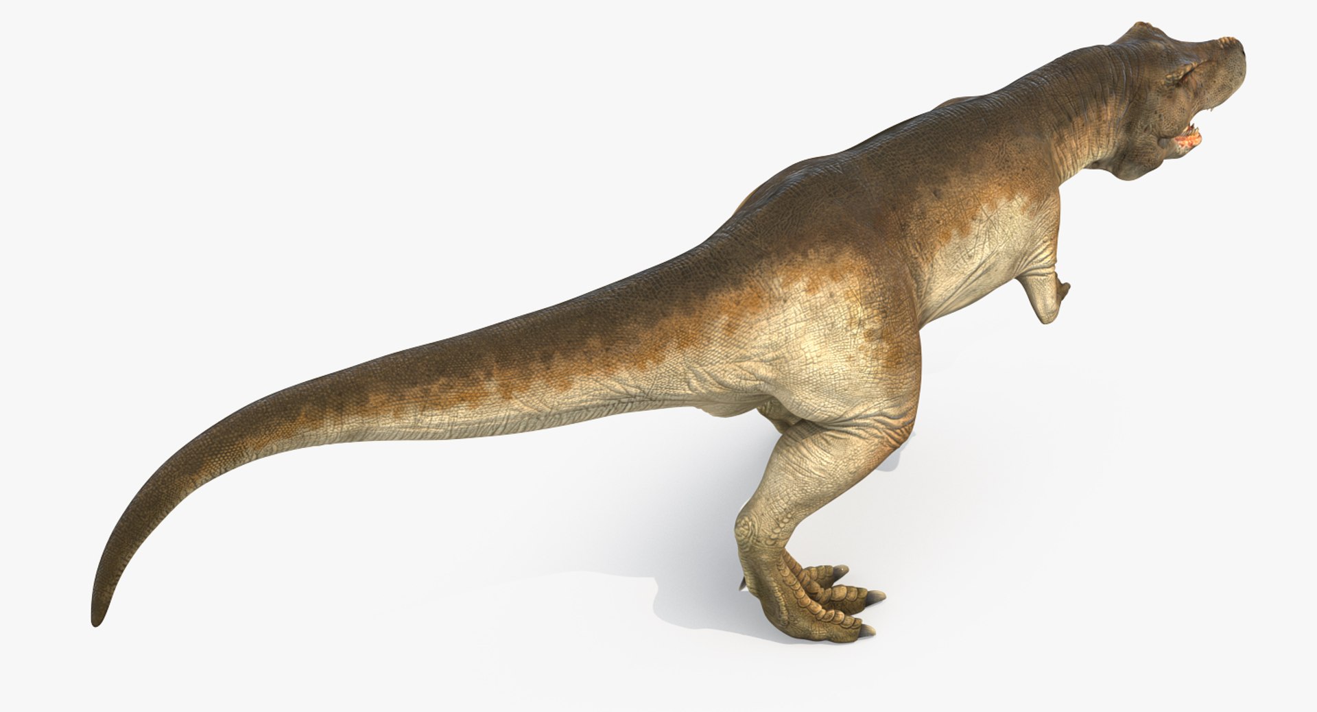 tyrannosaurus rex skeleton 3D model https://p.turbosquid.com/ts-thumb/nX/wvYyRP/vkvZKRfT/tyrannosaurusrexwithskeletoncollectionmb3dmodel015/jpg/1575646075/1920x1080/fit_q87/e156723f3ce0689b561a9eb65c40b142773c53fb/tyrannosaurusrexwithskeletoncollectionmb3dmodel015.jpg