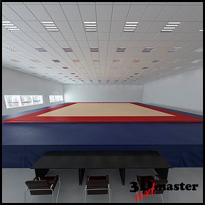 Artistic Gymnastic floor