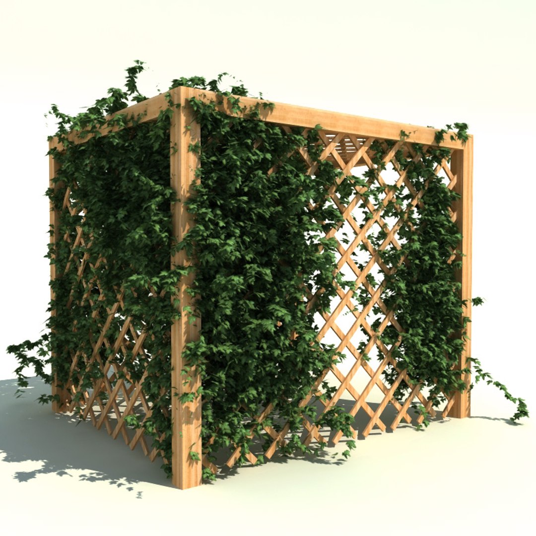 ivy v4 3d max https://p.turbosquid.com/ts-thumb/nY/4tPMsw/1l2IxsSc/ivy_collection_v4_031/jpg/1288816939/1920x1080/fit_q87/dd4e0911809fe96f35ed7fe664bd8d4a609876fd/ivy_collection_v4_031.jpg