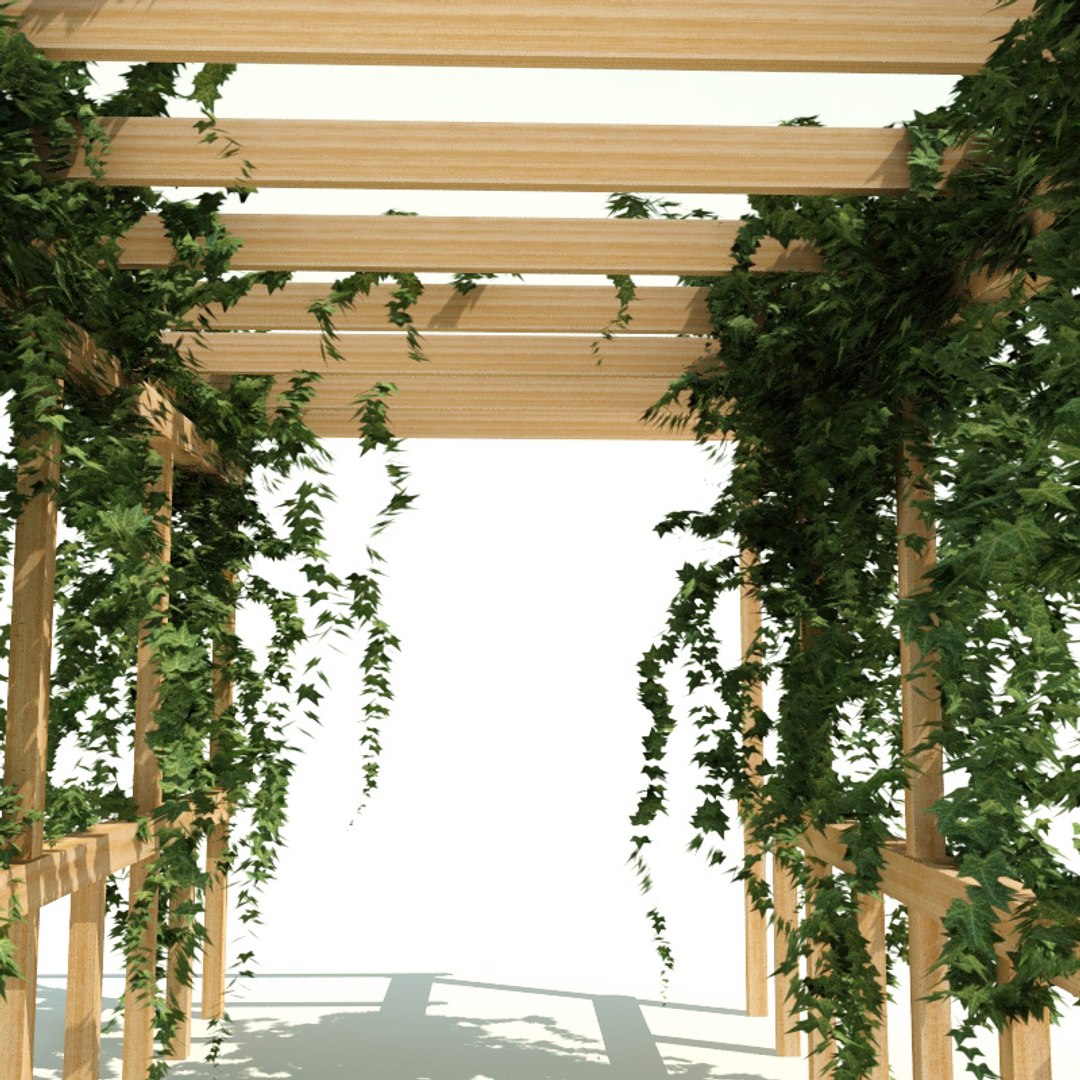 ivy v4 3d max https://p.turbosquid.com/ts-thumb/nY/4tPMsw/YdC2KavN/ivy_collection_v4_050/jpg/1288816939/1920x1080/fit_q87/57609d2a634841a5e0e9b0026f66e0598007d01d/ivy_collection_v4_050.jpg