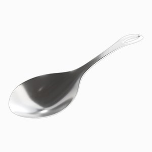 New steel thick spoon PBR